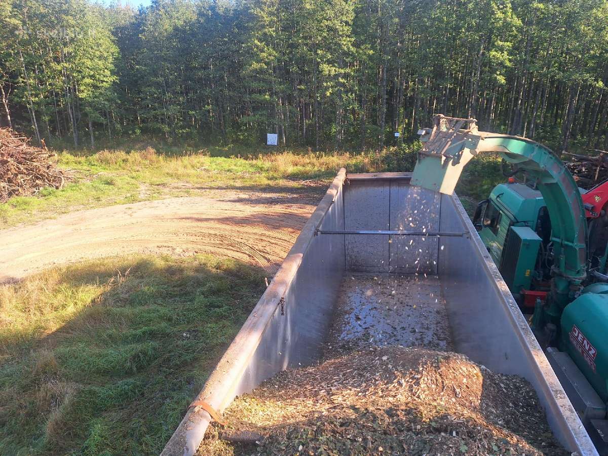 Biokuro gamyba, krūmų kirtimas - nuotraukos Nr. 10