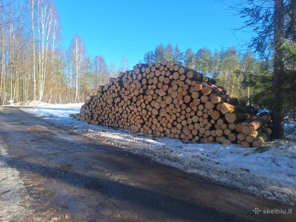 Biokuro gamyba, krūmų kirtimas - nuotraukos Nr. 11