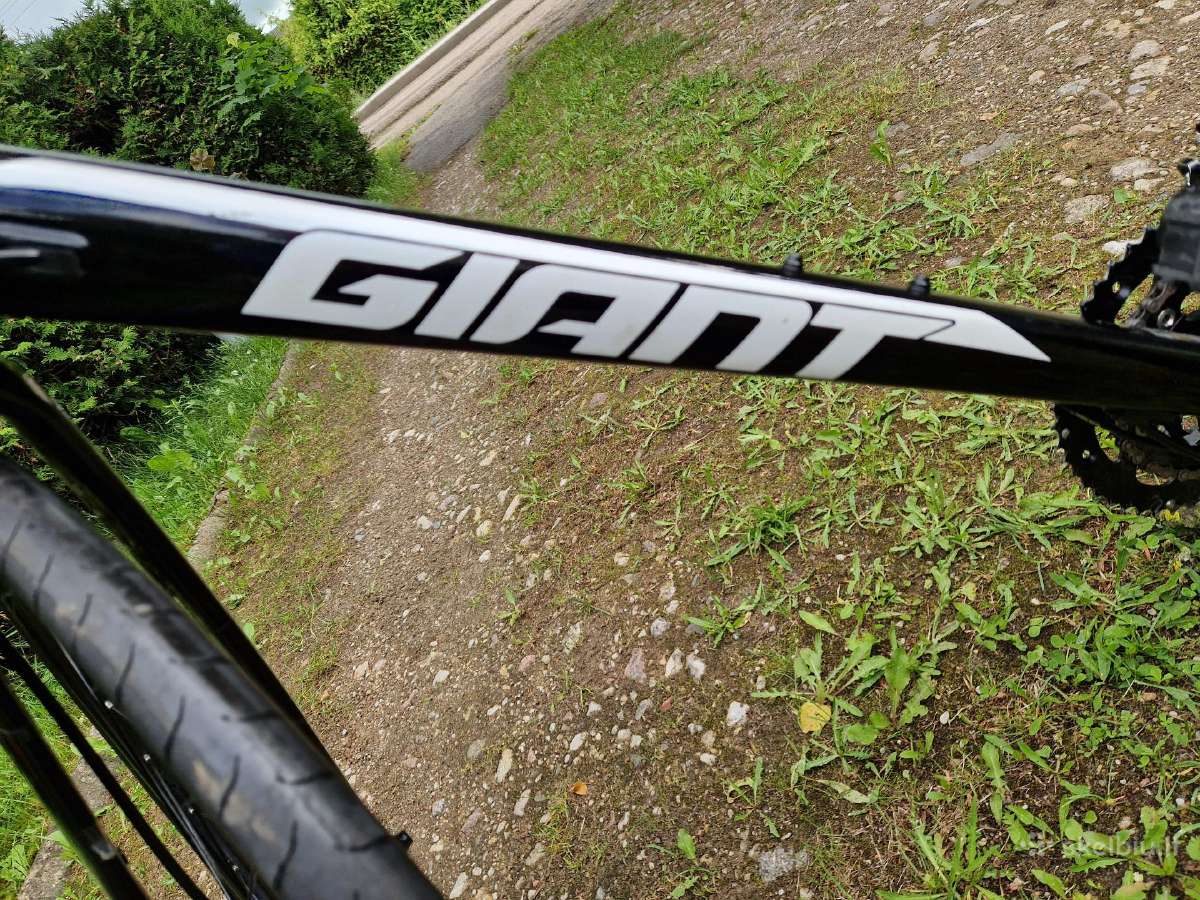 Miesto dviratis giant - nuotraukos Nr. 8