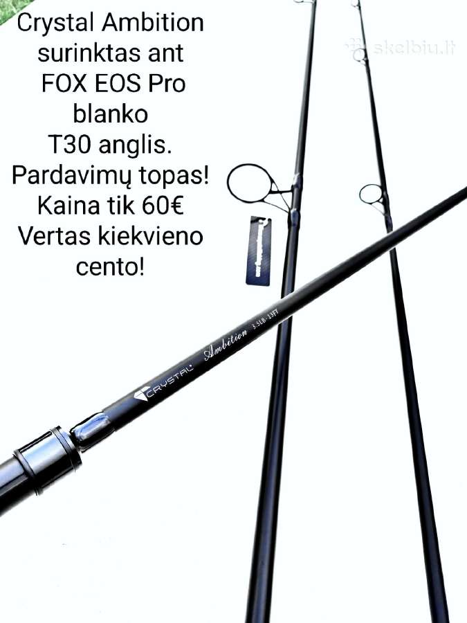 Karpiniai kotai-pasirinkimas - nuotraukos Nr. 17