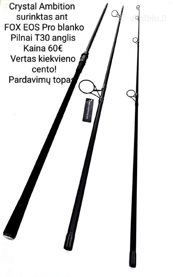 Karpiniai kotai-pasirinkimas - nuotraukos Nr. 19