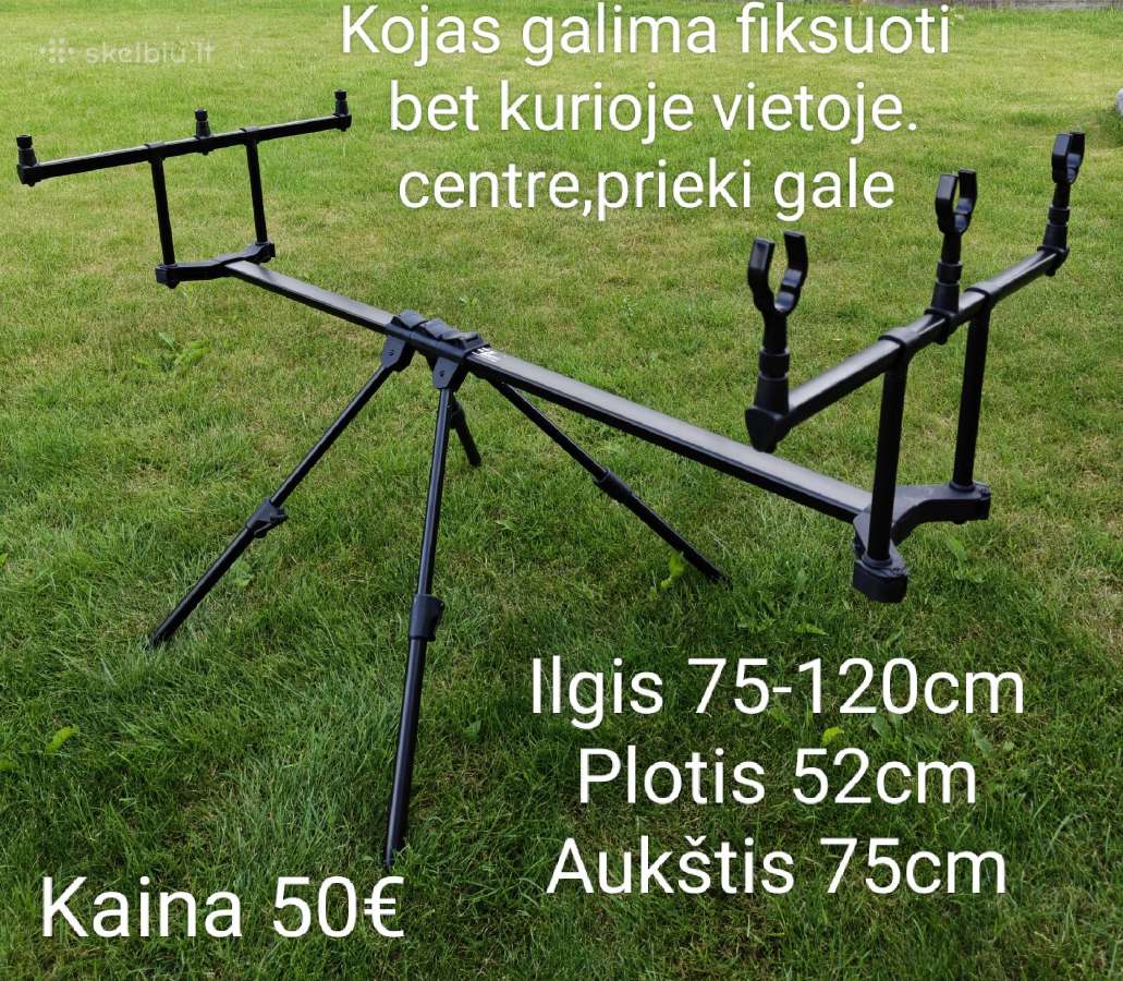 Karpiniai kotai-pasirinkimas - nuotraukos Nr. 24