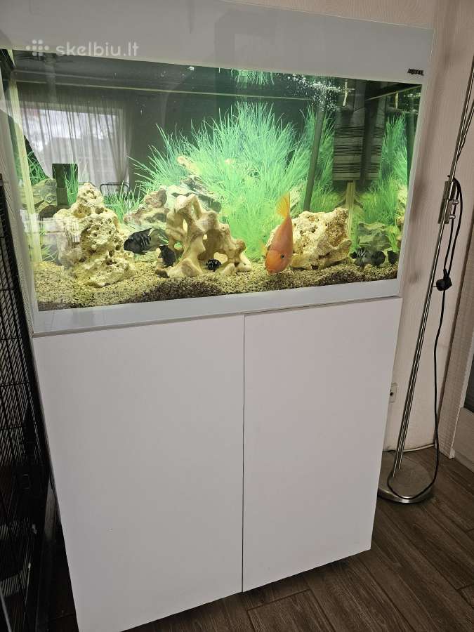 Aquael akvariumas 120l