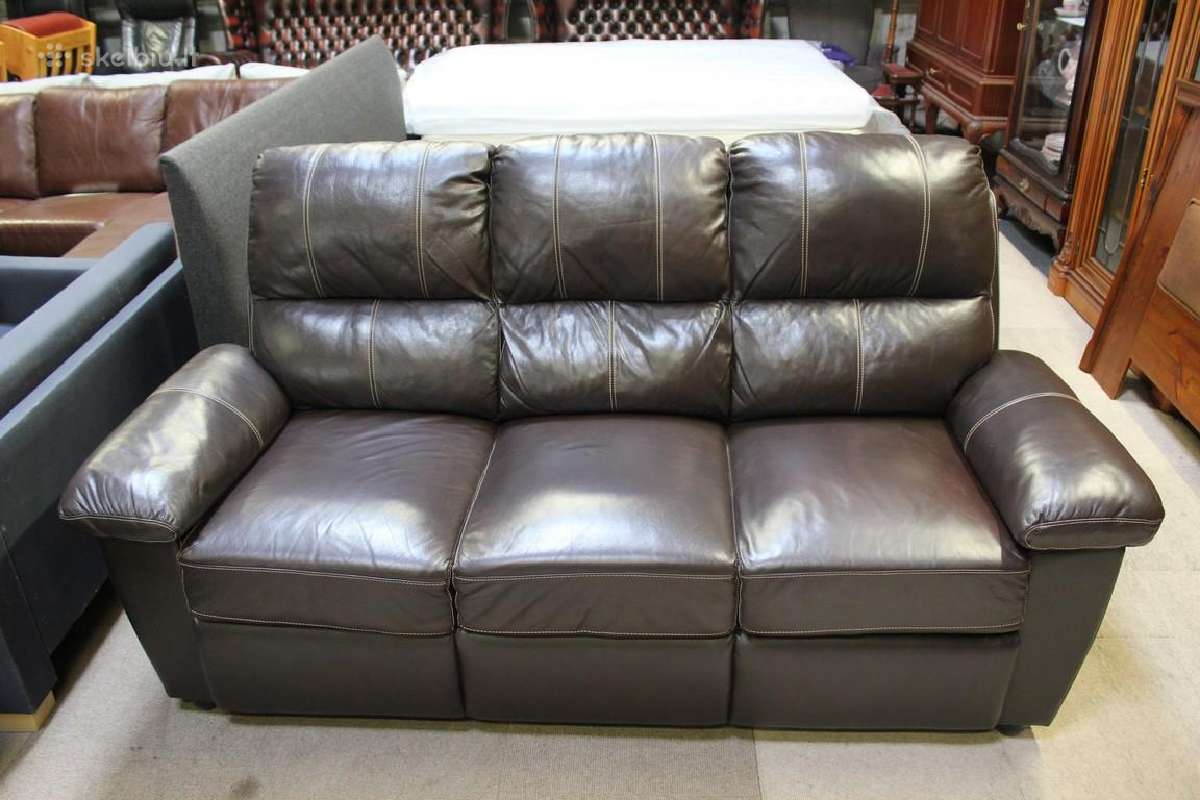Natūralios odos sofa su miegojimo funkcija