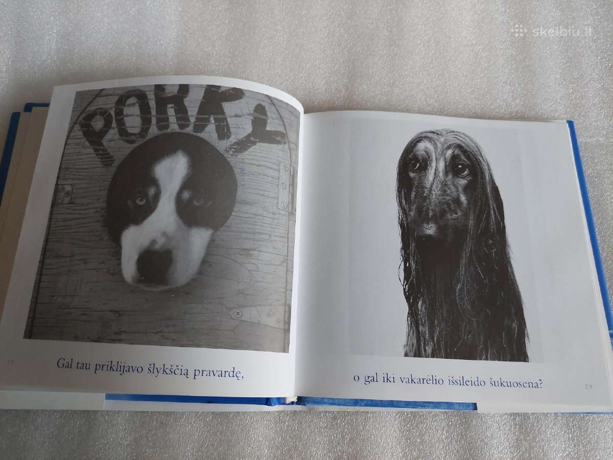 Kai liūdesys tave aplanko. . - nuotraukos Nr. 4