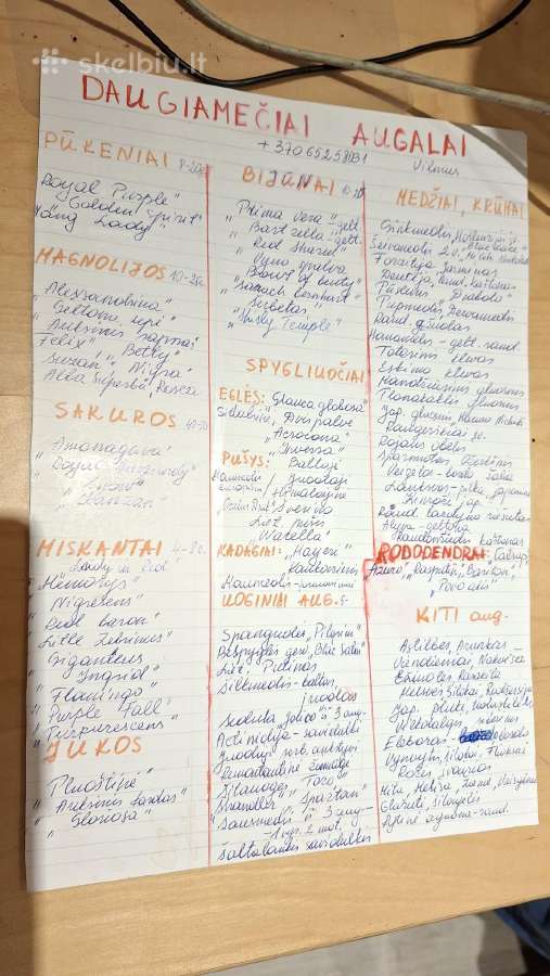 Spygliuočiai - nuotraukos Nr. 23