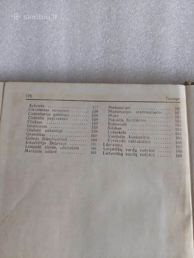 Gėlių auginimas - nuotraukos Nr. 8