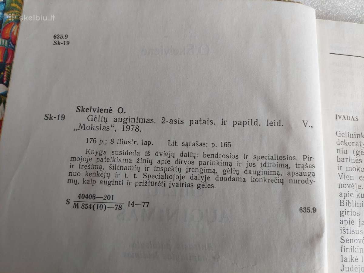 Gėlių auginimas - nuotraukos Nr. 3