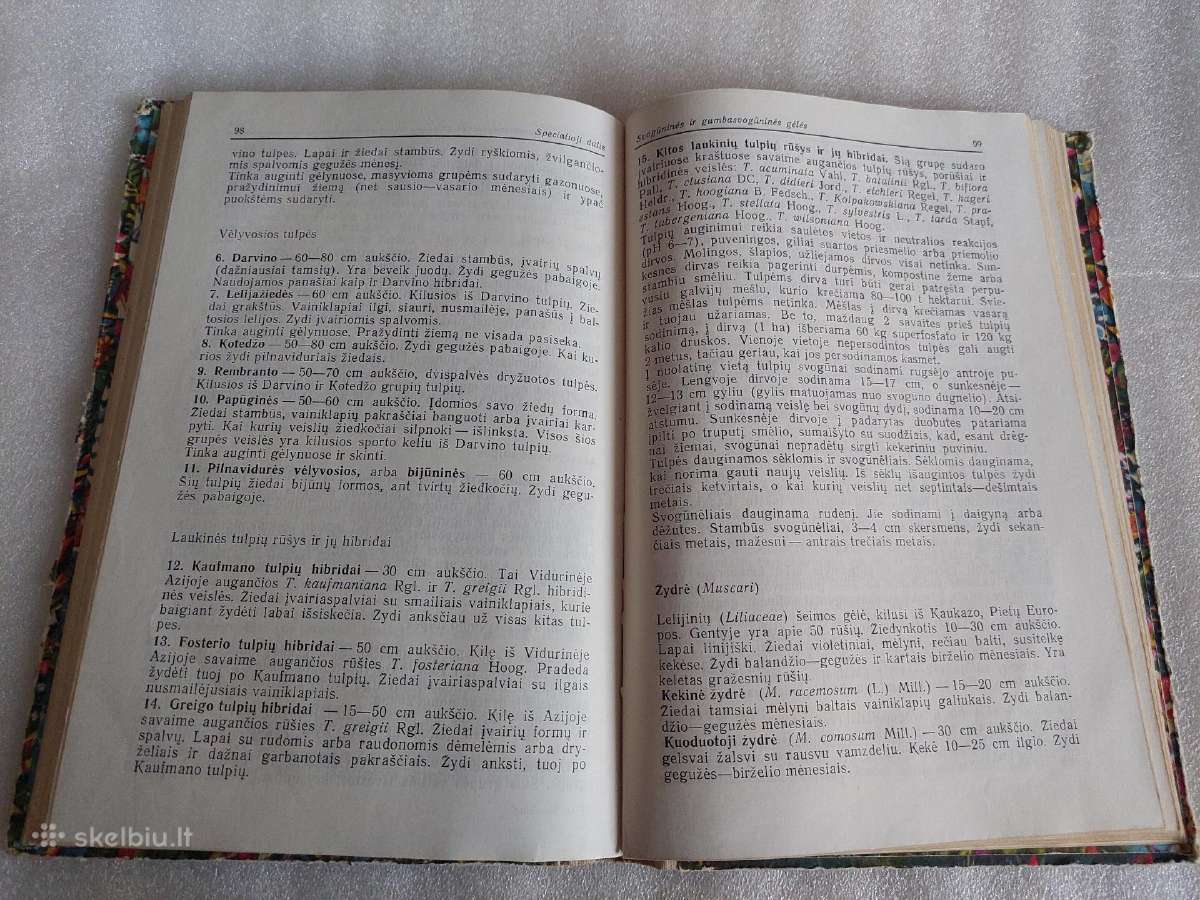Gėlių auginimas - nuotraukos Nr. 6