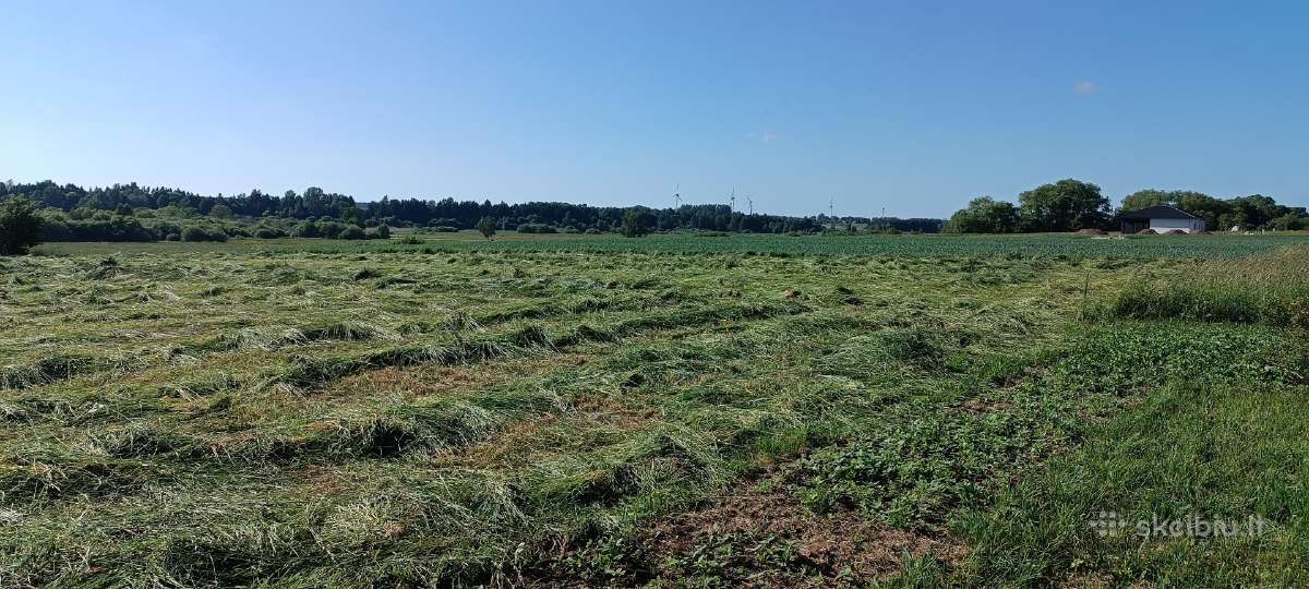 Medžių pjovimas, genėjimas, žolės pjovimas - nuotraukos Nr. 24