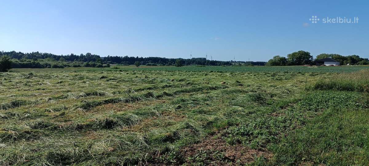 Medžių pjovimas, genėjimas, žolės pjovimas - nuotraukos Nr. 23