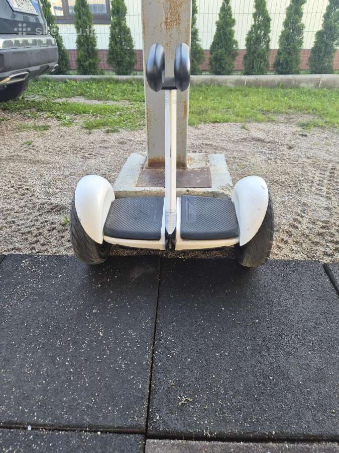 Riedis segway minilite