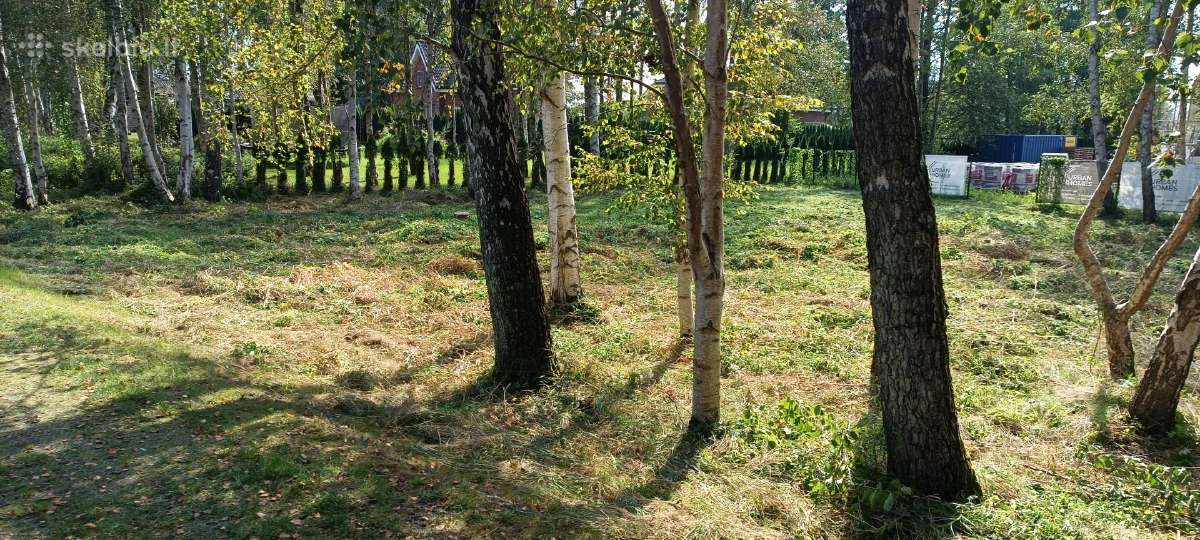 Medžių pjovimas, genėjimas, žolės pjovimas - nuotraukos Nr. 25