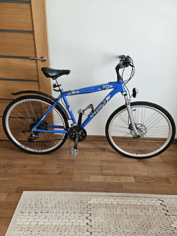 Vyriškas dviratis ,Pegasus Avanti"