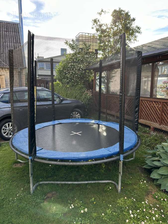 Batuta 244cm
