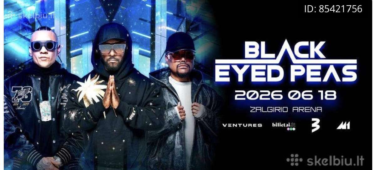 Black eyed peas koncerto 1 stovimas bilietas