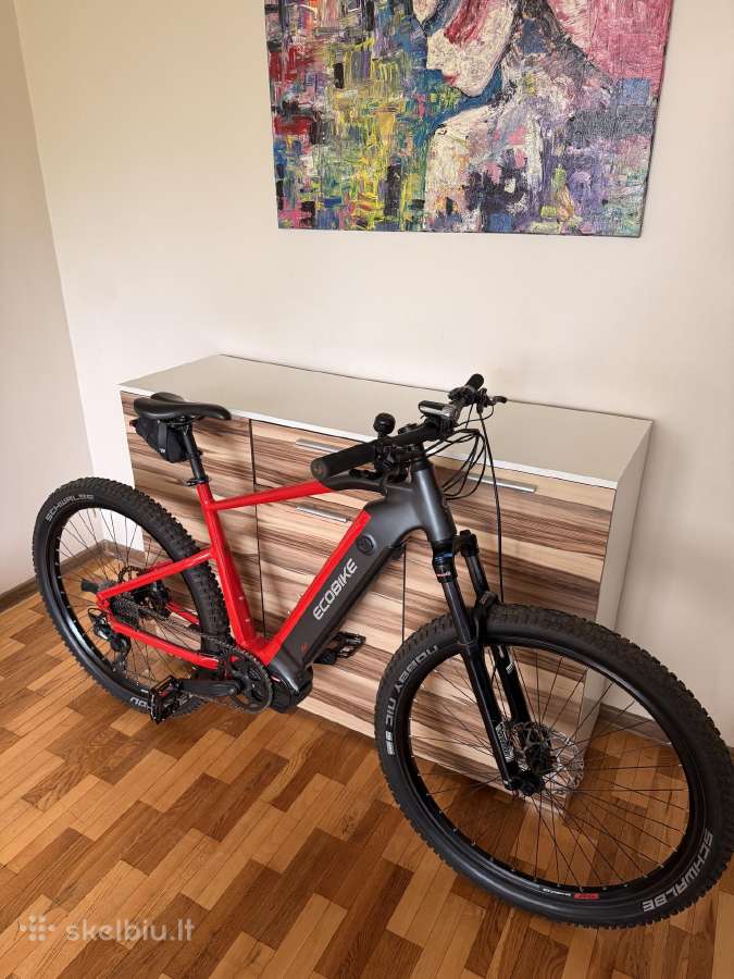 Ecobike Rx 500