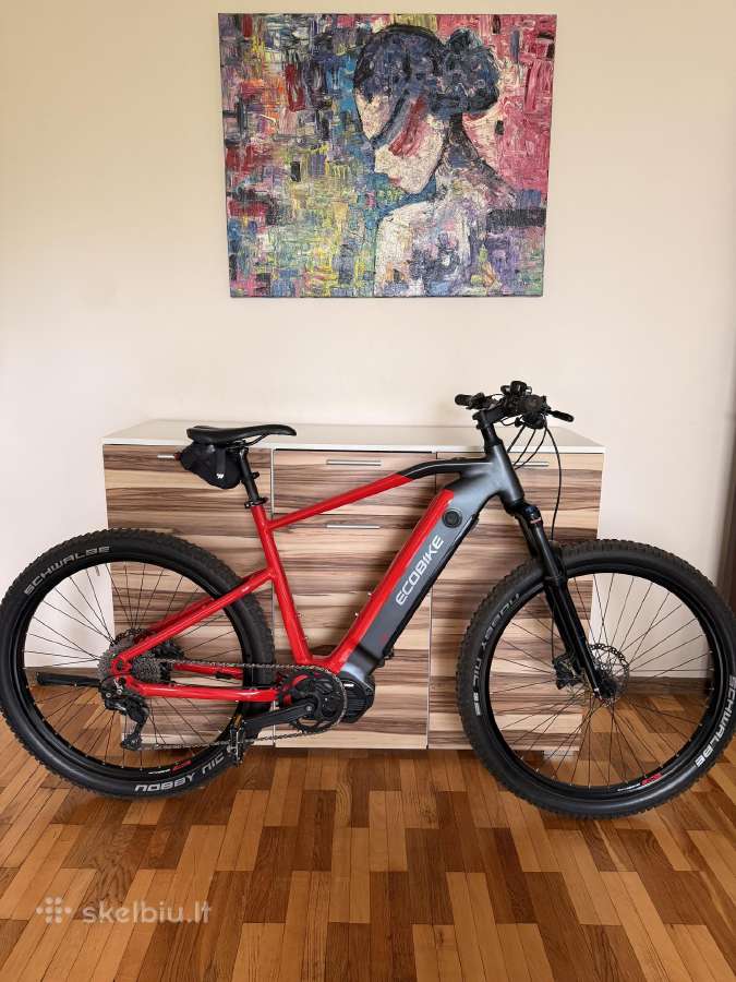 Ecobike Rx 500 - nuotraukos Nr. 4