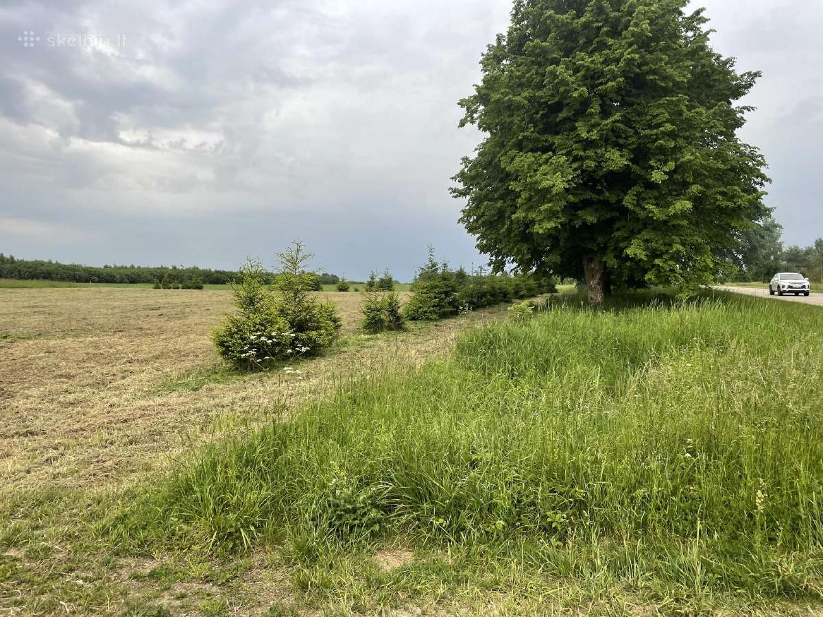 Sklypas namo ar sodybos statybai šalia asfaltuoto