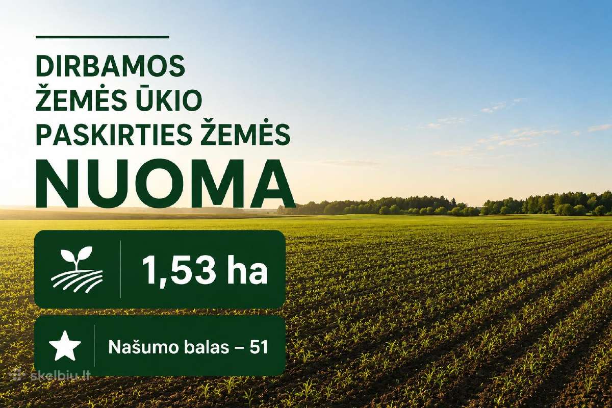 Žemės nuoma Panevėžio raj. Vaišvilčių II k.