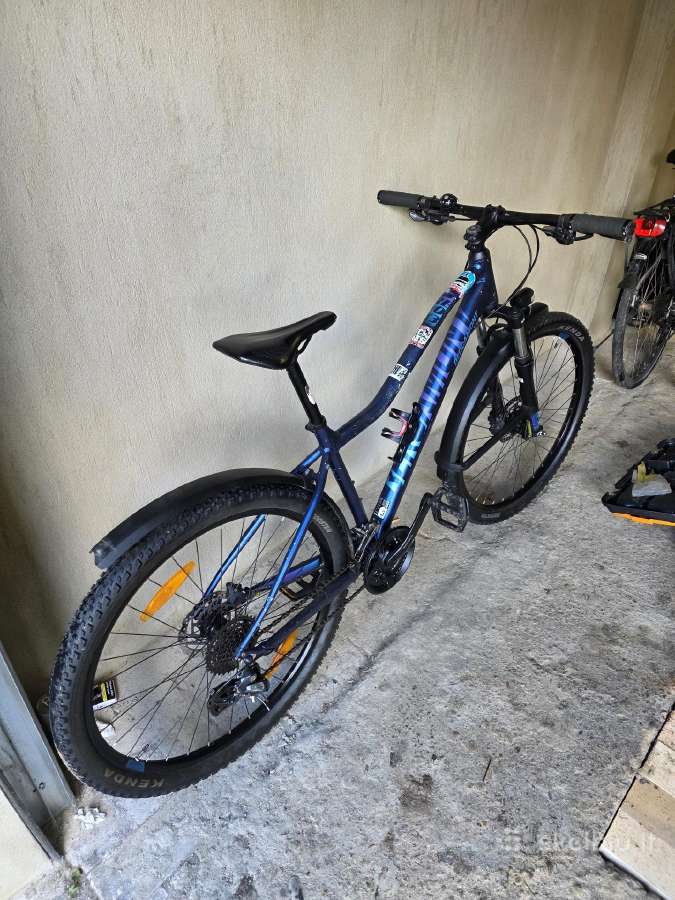 Kalnų dviratis Bergamont Revox (MTB) M Dydis