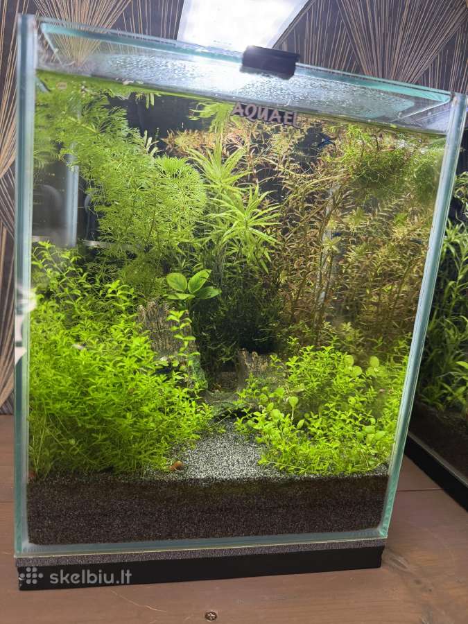 Aquael shrimp set 20
