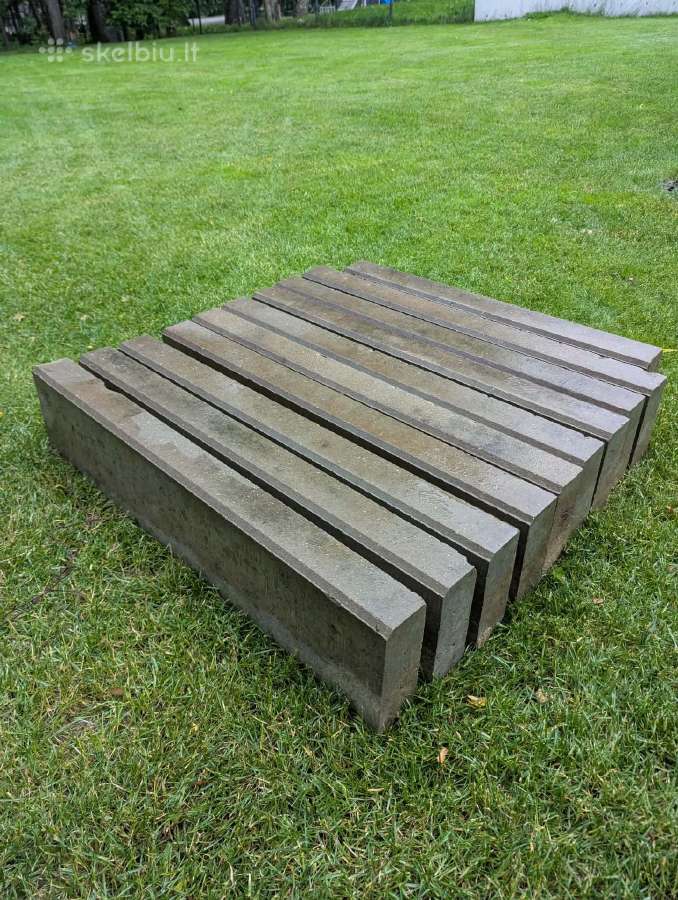 Borteliai 100x20x8