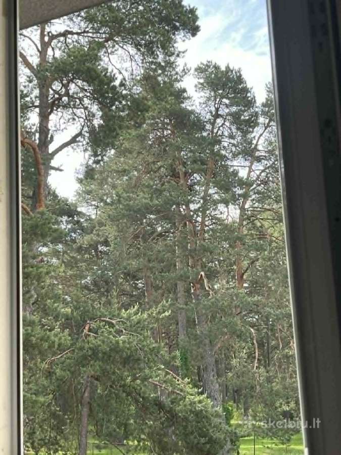Ilgalaikė 2 k. buto nuoma Druskininkuose - nuotraukos Nr. 2