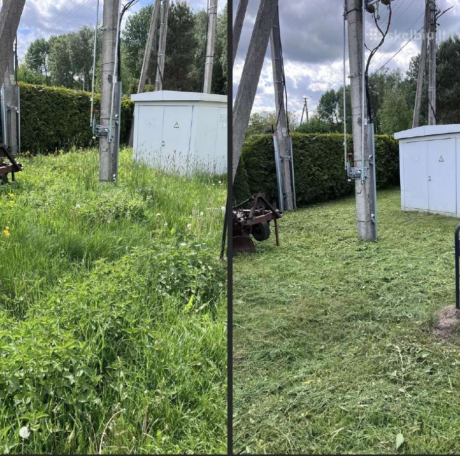 Žolės pjovimas Vilniuje, Vilniaus rajone, Trakuose