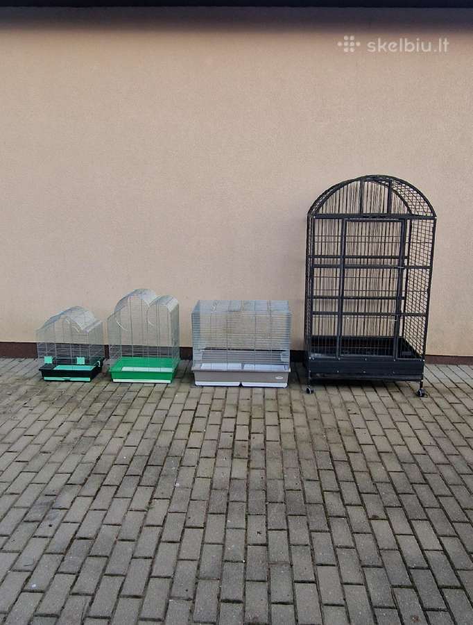 Paukščių narvas