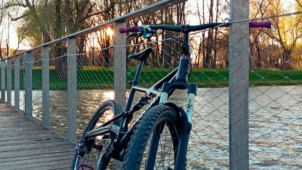 Cannondale Prophet