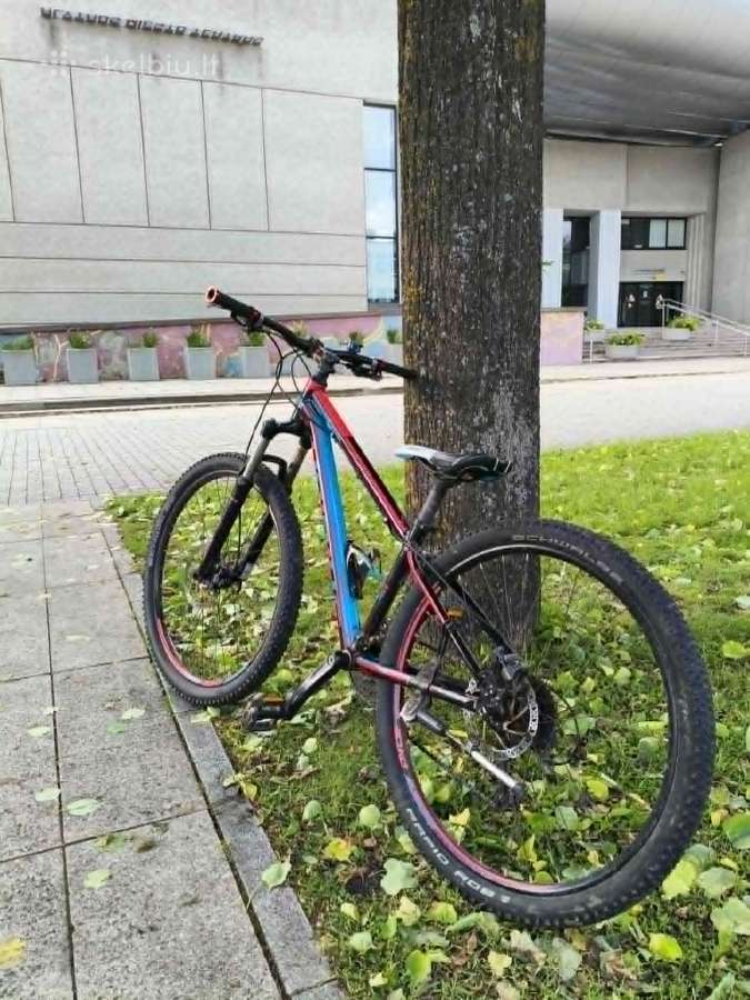 Kalnų dviratis