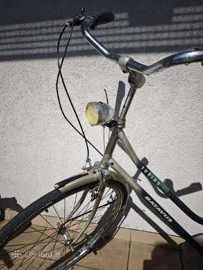 Torino Batavus Dviratis - nuotraukos Nr. 2
