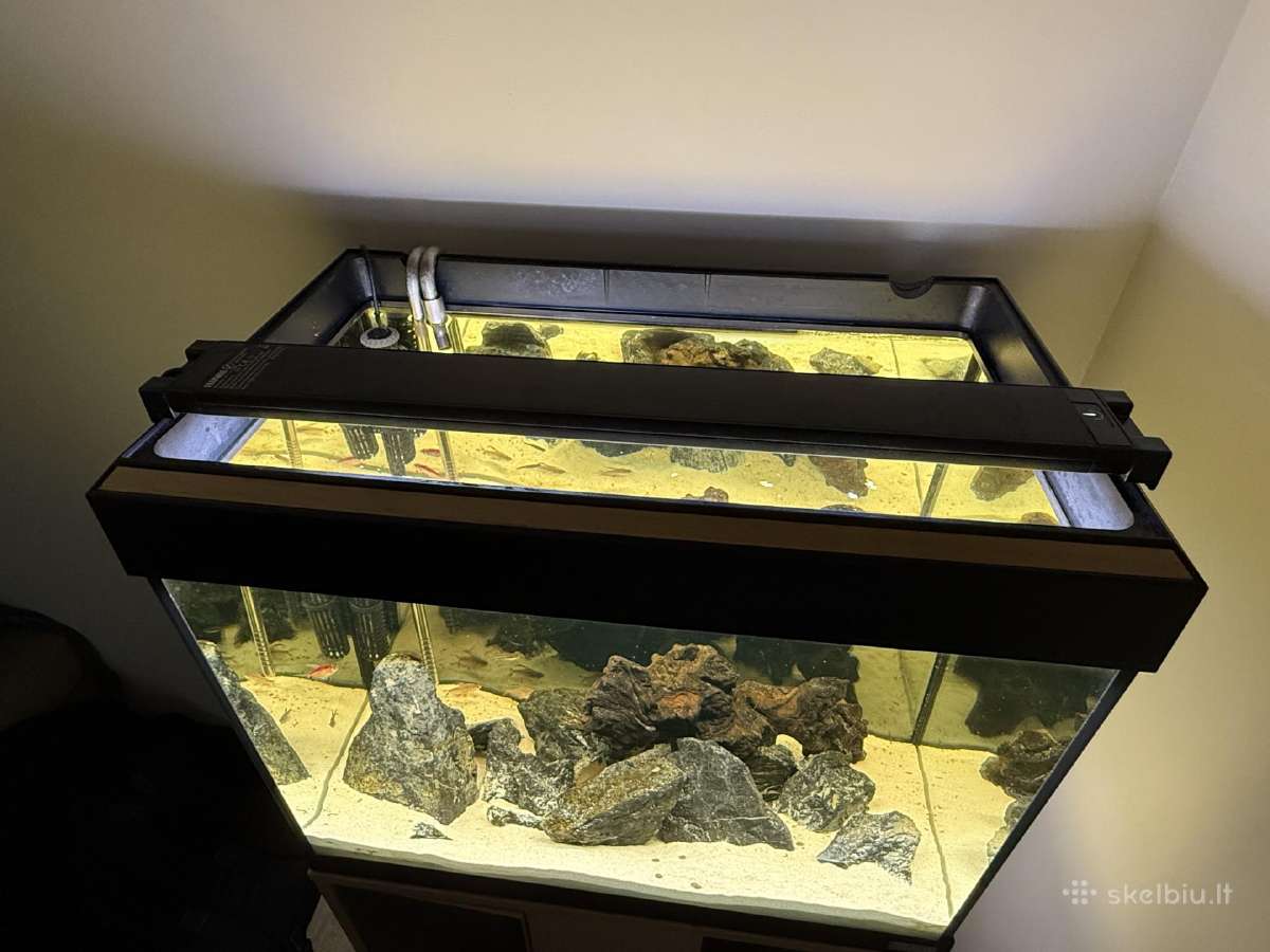 Fluval Roma 90akvariumas - nuotraukos Nr. 6