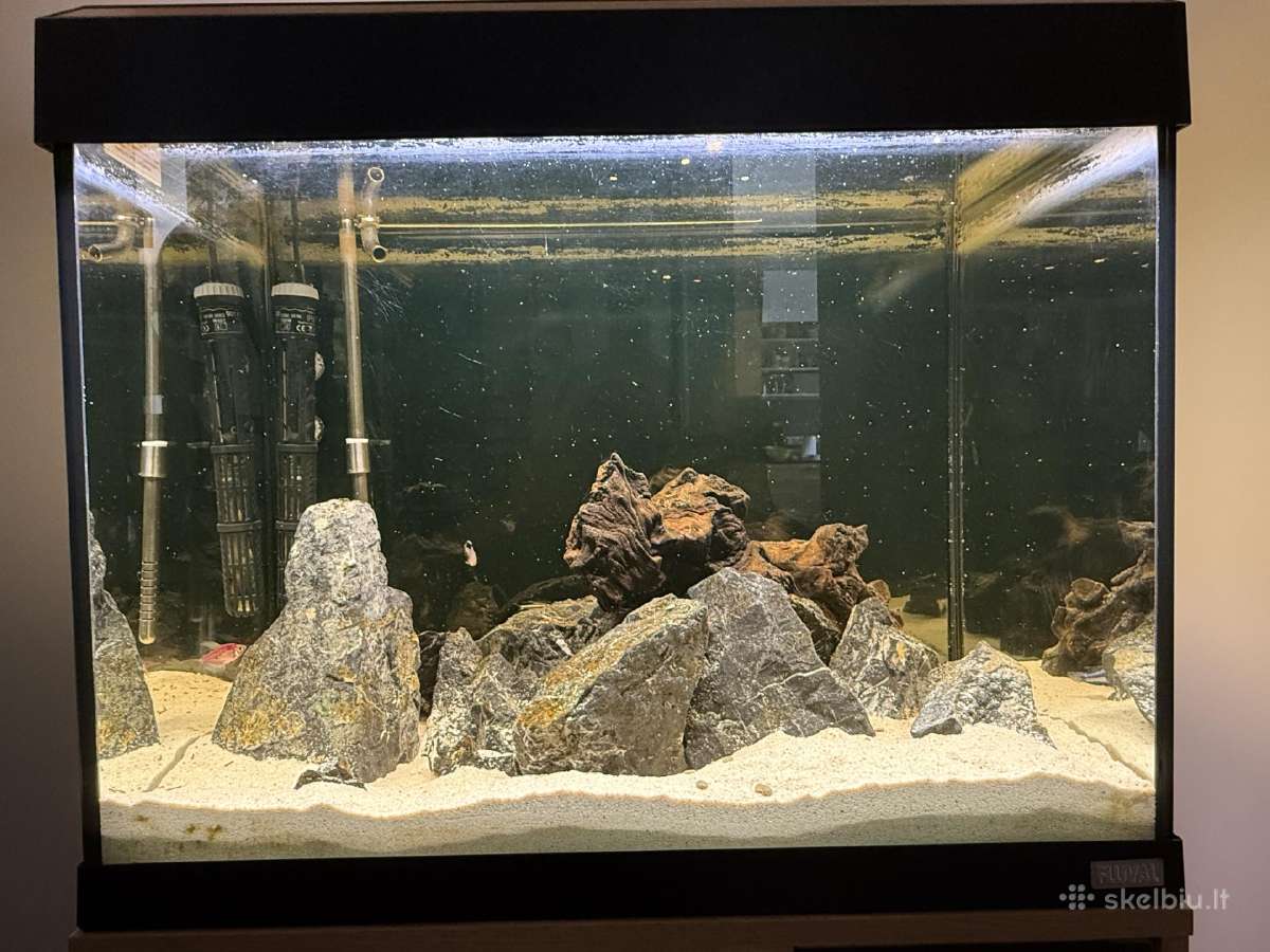 Fluval Roma 90akvariumas - nuotraukos Nr. 8