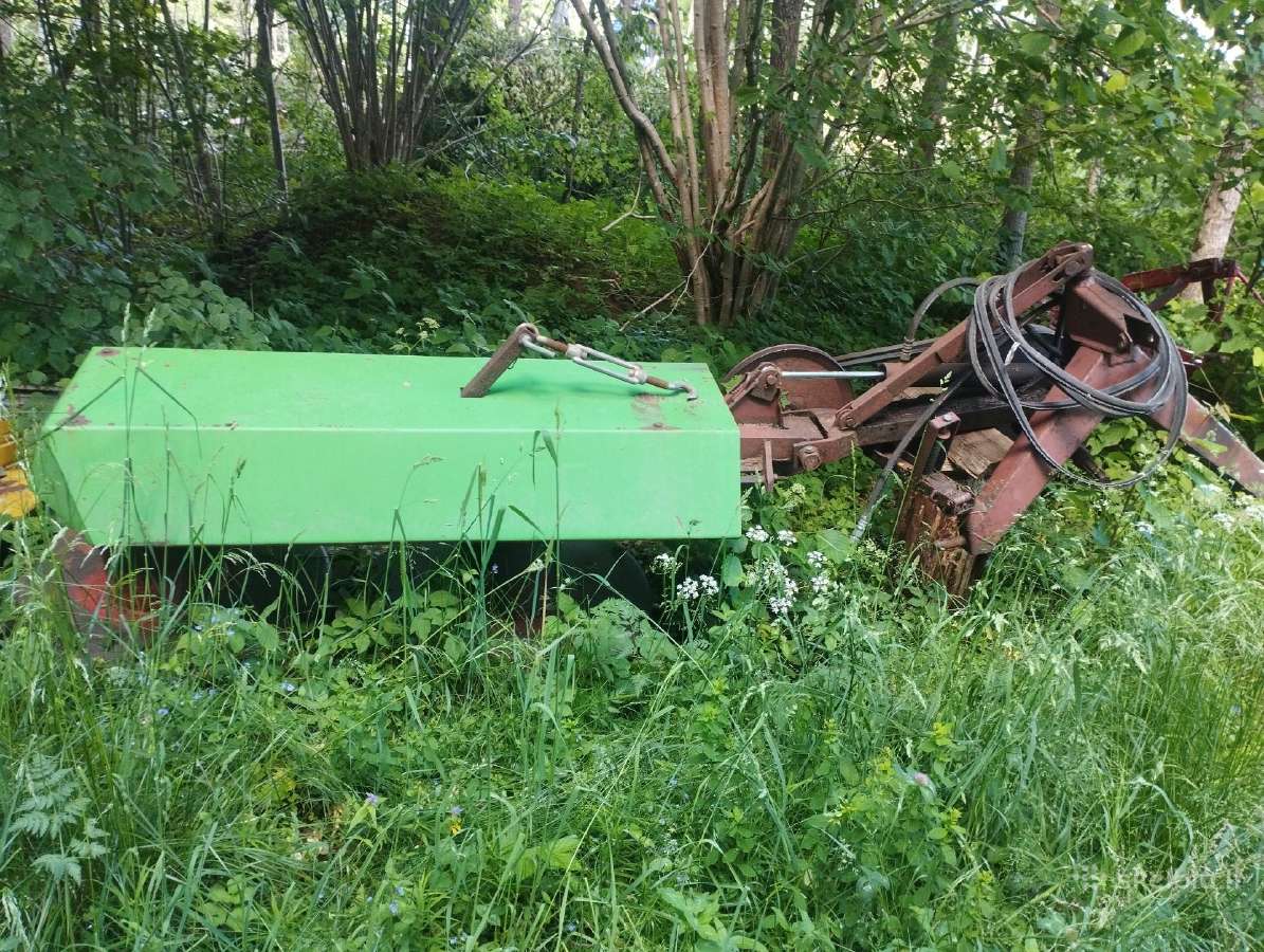 Veikenti rasa 1m85cm
