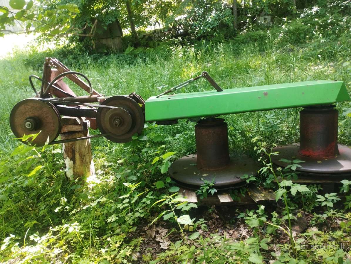 Veikenti rasa 1m85cm - nuotraukos Nr. 2