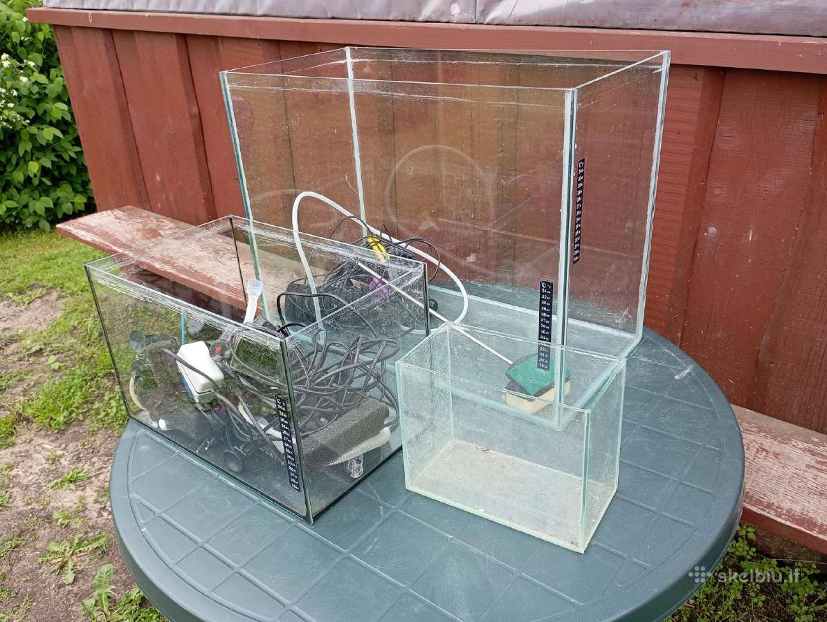 3 akvariumai už kavą
