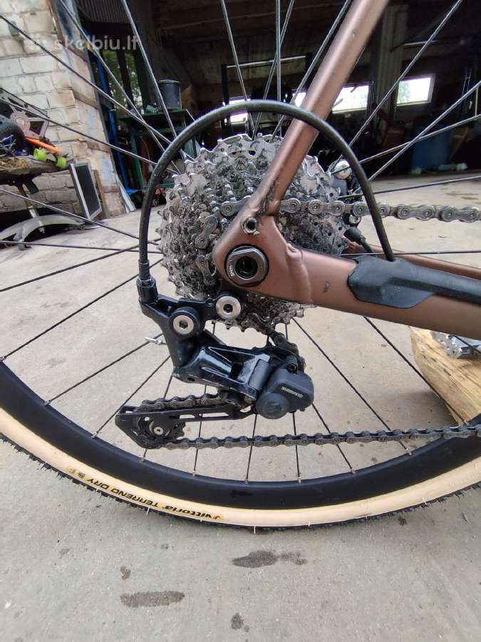 Orbea XXL - nuotraukos Nr. 7