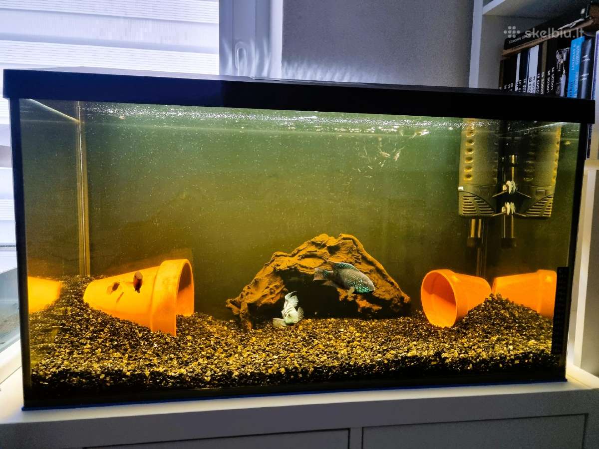 Akvariumas 105 l naudotas tik kelis mėnesius