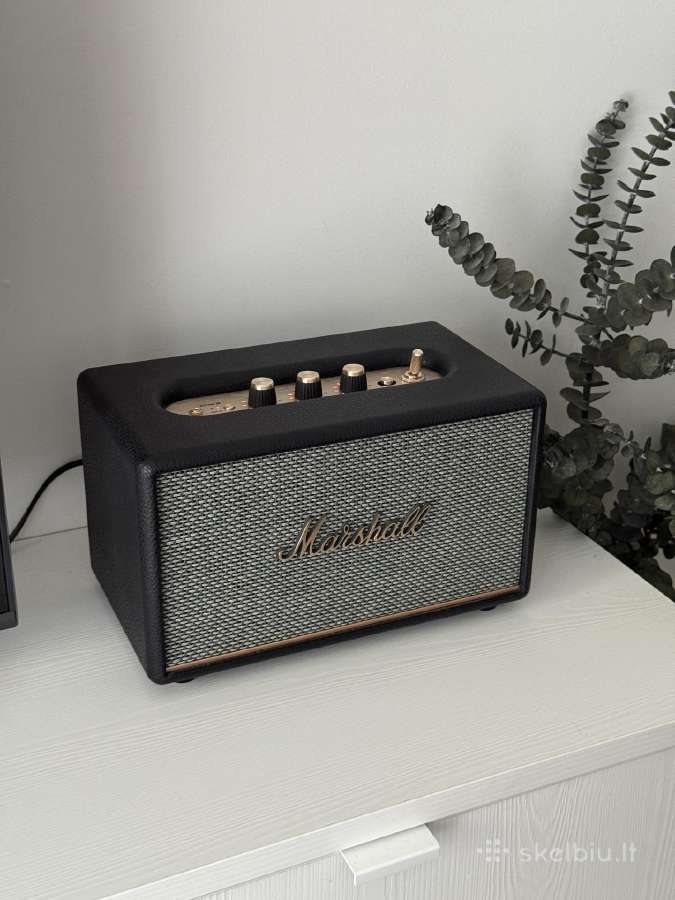 Marshall Acton 3