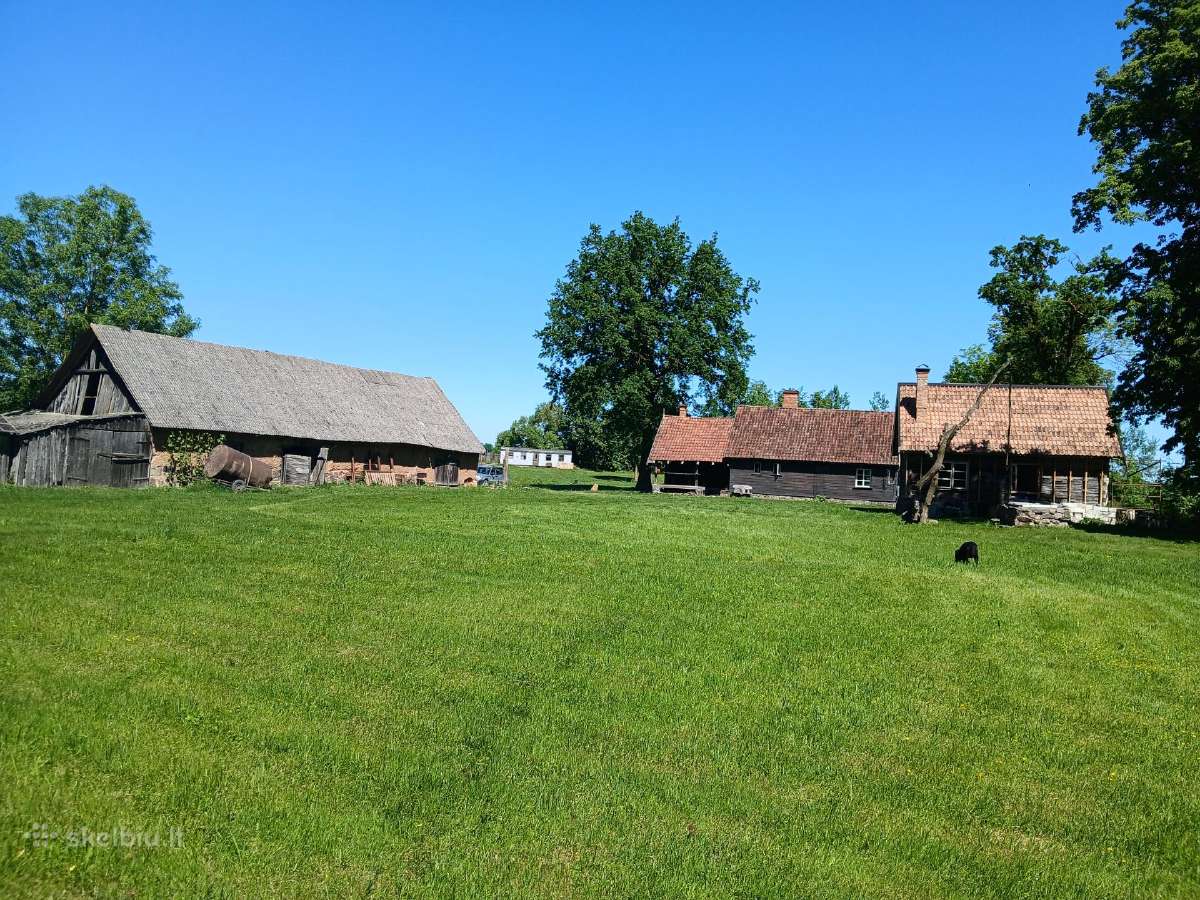 Parduodama sodyba ant Mūšos kranto, prie Dvariukų - nuotraukos Nr. 3