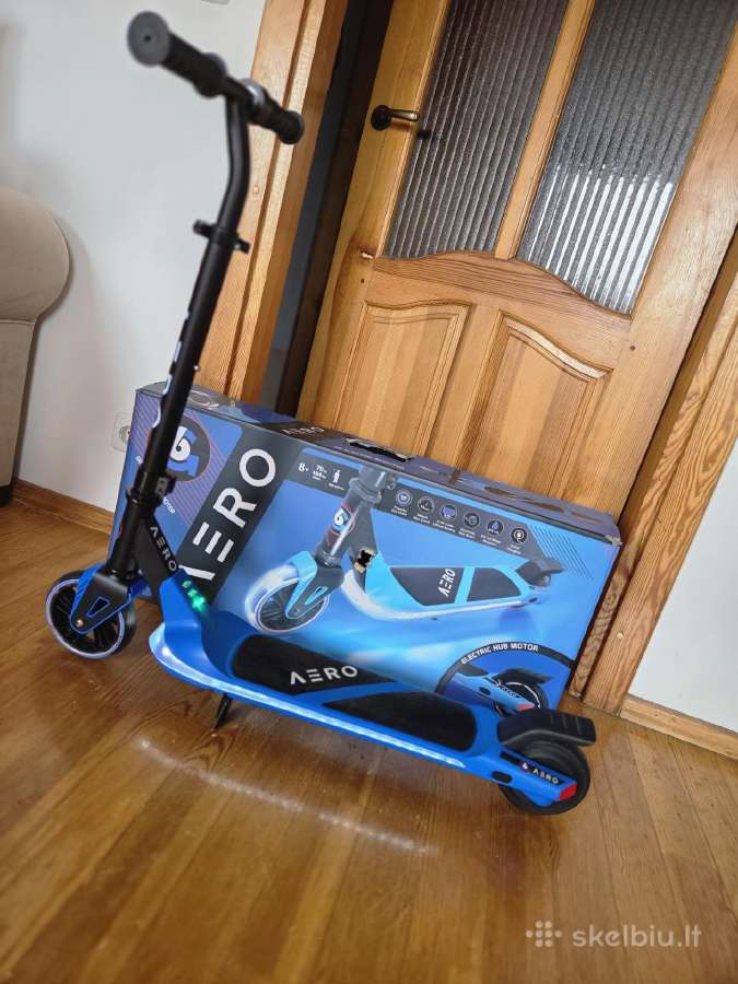 Elektrinis paspirtukas