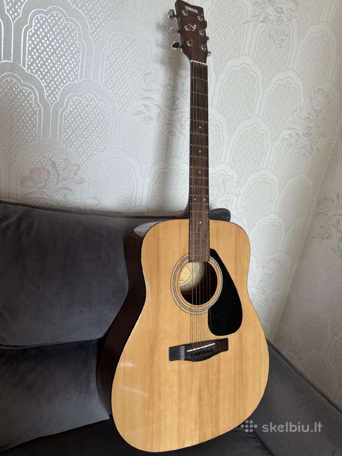 Gitara - nuotraukos Nr. 2