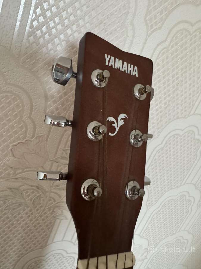 Gitara - nuotraukos Nr. 3