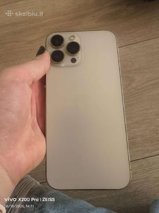 iPhone 13 pro max