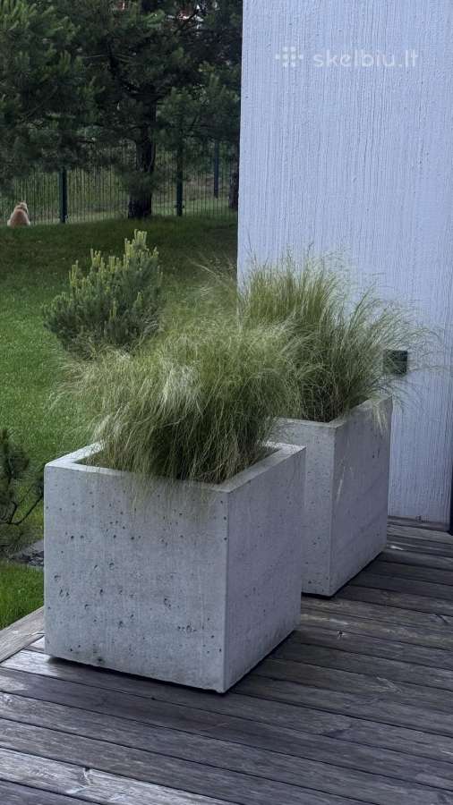 Parduodu du betoninius vazonus 50cm - nuotraukos Nr. 3