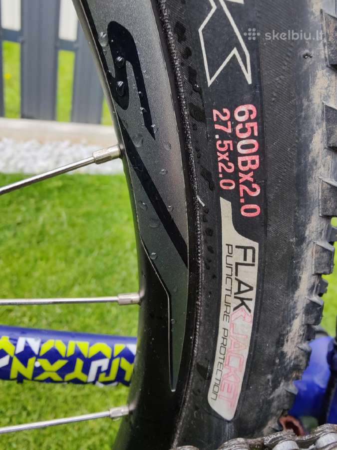 Specialized kalnų dviratis L dydis - nuotraukos Nr. 3