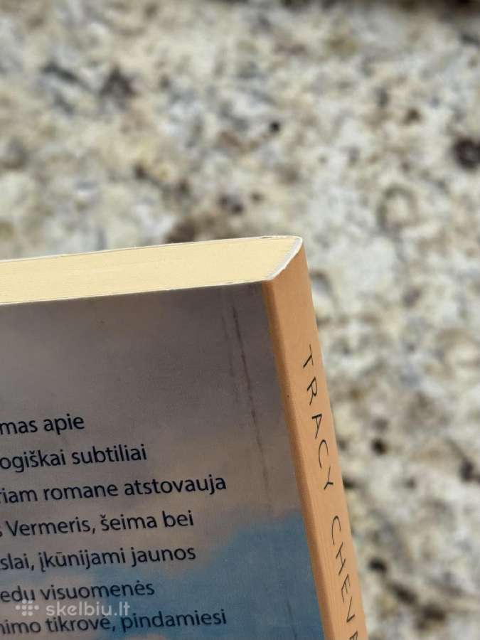 Mergina su perlo auskaru Tracy Chevalier - nuotraukos Nr. 10
