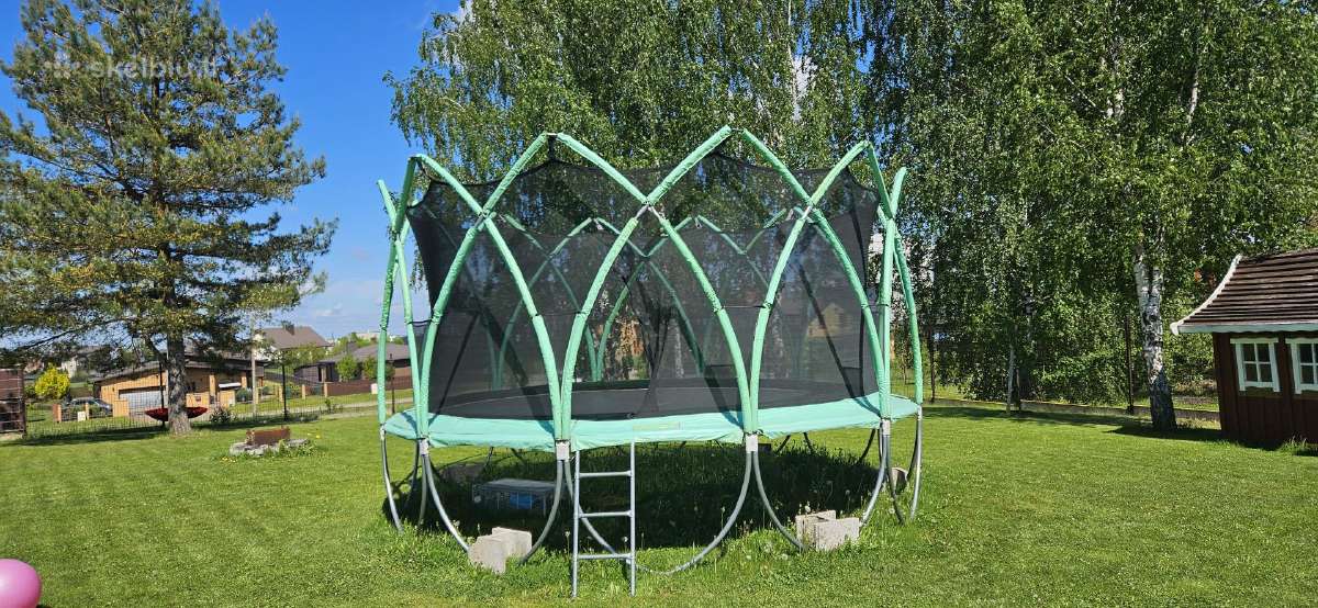 Batutas